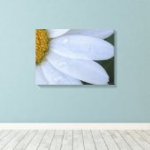 White Dewy Daisy Closeup Canvas Print Leinwanddruck (Insitu (Holzboden))