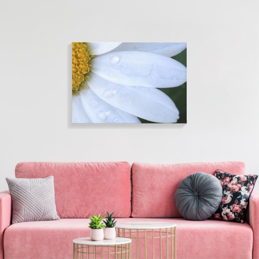 White Dewy Daisy Closeup Canvas Print Leinwanddruck (Insitu (Wohnzimmer))