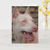White Doberman Karte (Gelbe Blume)
