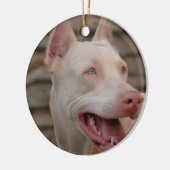 White Doberman Ornament (Links)