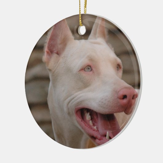 White Doberman Ornament (Links)