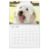 White Dog Funny Calendar Golden Doodle Kalender (Mär 2026)