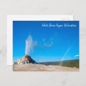 White Dome Geyser Eruption Yellowstone Postkarte (Vorne/Hinten)