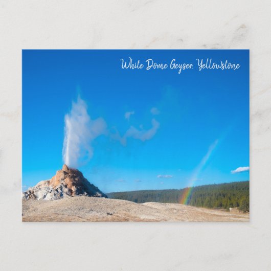 White Dome Geyser Eruption Yellowstone Postkarte (Vorderseite)
