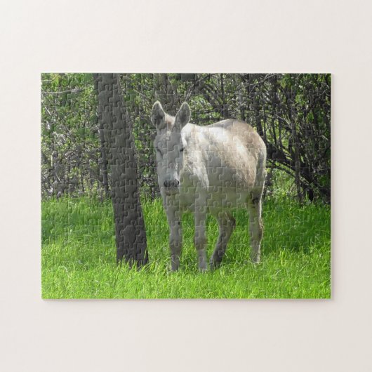 White Donkey on the Farm in the Midwest Puzzle (Horizontal)