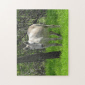 White Donkey on the Farm in the Midwest Puzzle (Vertikal)