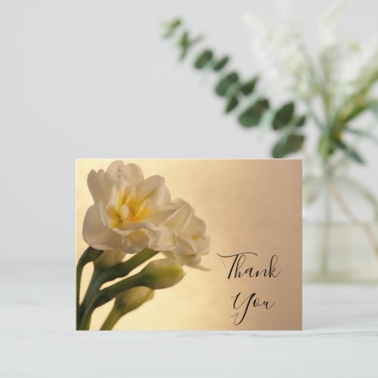 White Double Daffodic Danke Postkarte (Stehend Vorderseite)