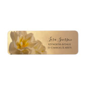 White Double Daffodids geben das Adressetikett zur (Vorne)