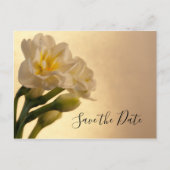 White Double Daffodil Spring Wedding Save the Date Ankündigungspostkarte (Vorderseite)