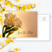 White Double Daffodil Spring Wedding Save the Date Ankündigungspostkarte