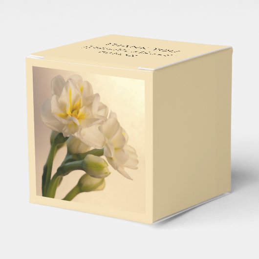 White Double Daffodils Spring Wedding Geschenkschachtel (Vorderseite)