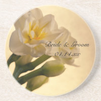 White Double Daffodils Spring Wedding