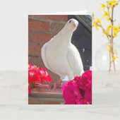 White Dove bearbeitbar Karte (Gelbe Blume)