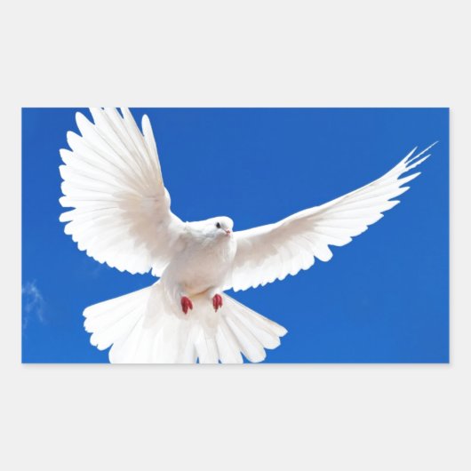 White Dove Bird Peace Liebe Flying Sky Rechteckiger Aufkleber (Vorderseite)