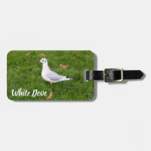 White Dove für Vögel und Taube Liebesgeschenk