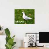 White Dove für Vögel und Taube Liebesgeschenk Poster (Heimbüro)