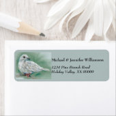 White Dove in the Pine Christmas (Insitu)