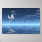 White Dove Poster (Vorne)