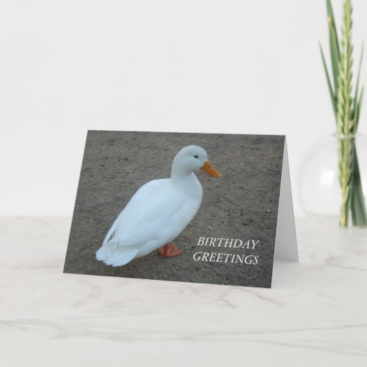 White Duck Birthday Karte (Vorderseite)