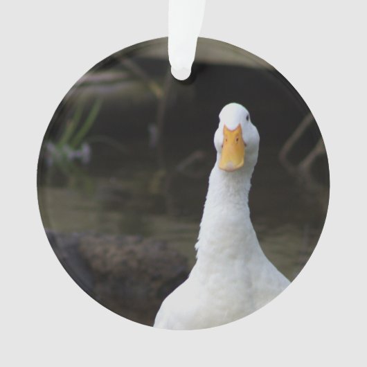 White Duck Ornament (Vorderseite)