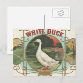White Duck Postkarte (Vorne/Hinten)