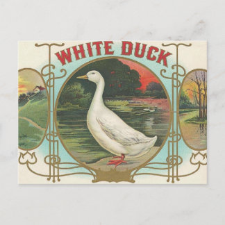 White Duck Postkarte