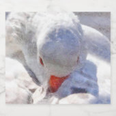 White Duck Preening Art Bierflaschenetikett (Einzelnes Label)