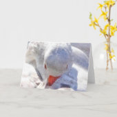White Duck Preening Art Karte (Gelbe Blume)