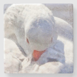 White Duck Preening Art Steinuntersetzer