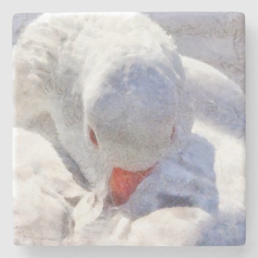 White Duck Preening Art Steinuntersetzer (Vorderseite)