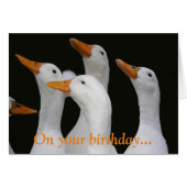 White Ducks Funny Birthday Card (Vorderseite (Horizontal))