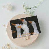 White Ducks Funny Birthday Card