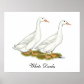 White Ducks Poster (Vorne)