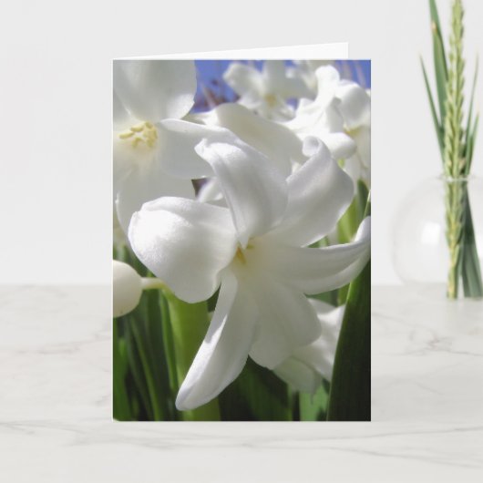 White Easter Lilly Feiertagskarte (Vorderseite)