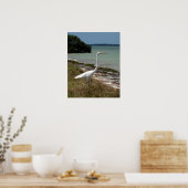 White Egret 2 Poster (Küche)