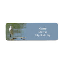 White Egret Foto Birdwatcher Wild Bird Seeufer