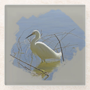 White Egret Foto Elegant Bird Calm Water Nature Glasuntersetzer