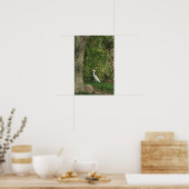 White Egret Poster (Küche)