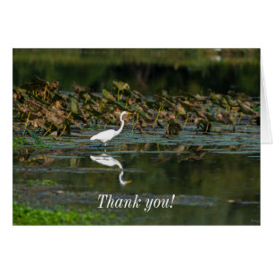 White Egret Reflektion Danke Karte
