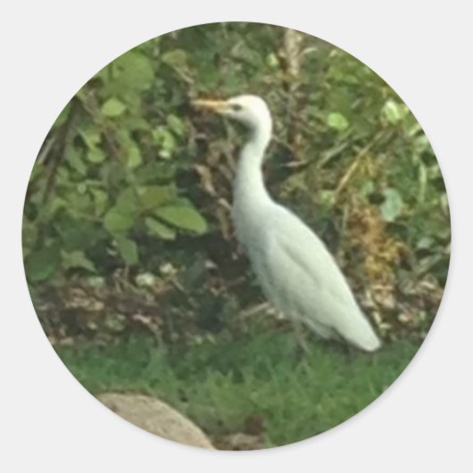 White Egret Runder Aufkleber (Vorderseite)