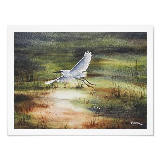 White Egret Watercolor Fotodruck (Vorne)