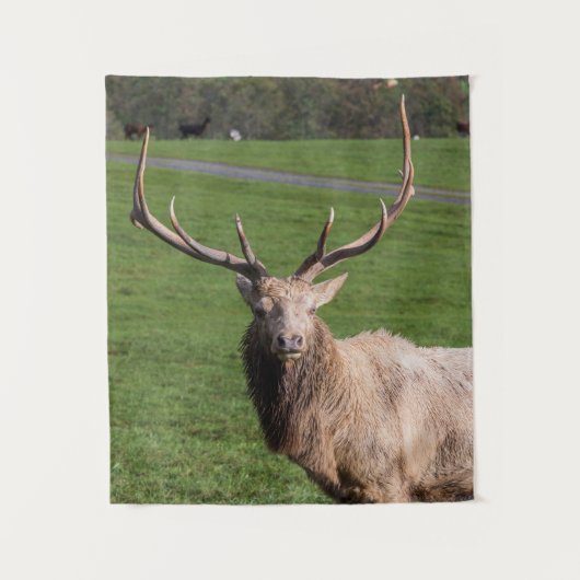 White Elk Tapestry Wandteppich (Vorderseite)