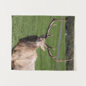 White Elk Tapestry Wandteppich (Vorderseite (Horizontal))