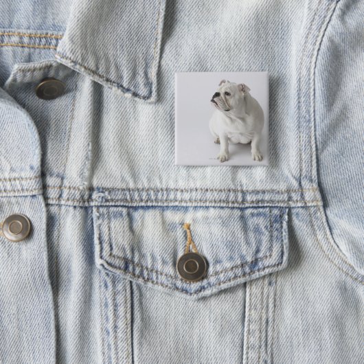White English Bulldog Button (Beispiel)