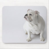 White English Bulldog Mousepad (Vorne)