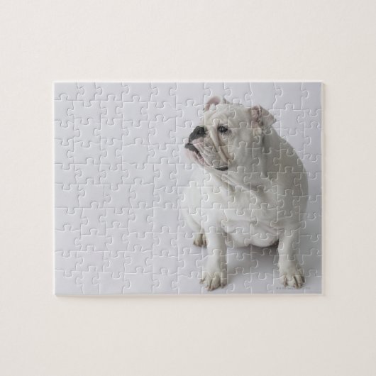 White English Bulldog Puzzle (Horizontal)