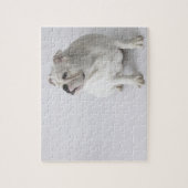 White English Bulldog Puzzle (Vertikal)