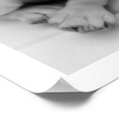 White English Bulldog Sitting Poster (Ecke)