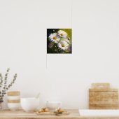 White English Daisy Blume Art Print Poster (Küche)