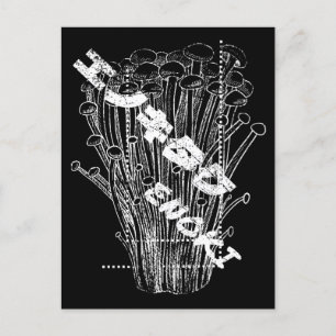 White Enoki Mushrooms Japanese Letters Fungus Food Postkarte